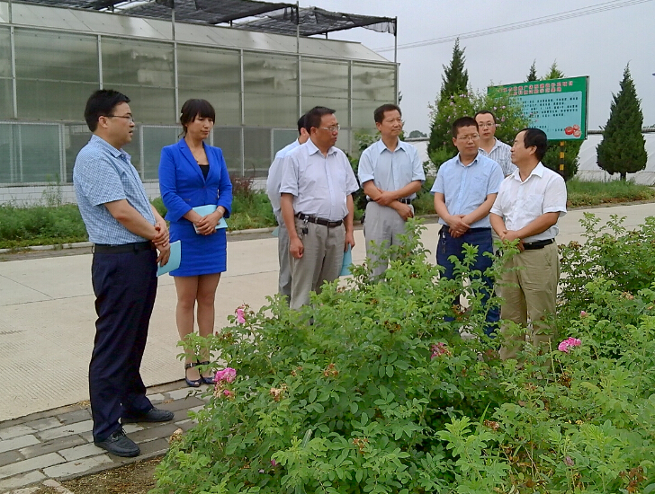 1.jpg 市科技局局长张和先调研正宁县科技工作
