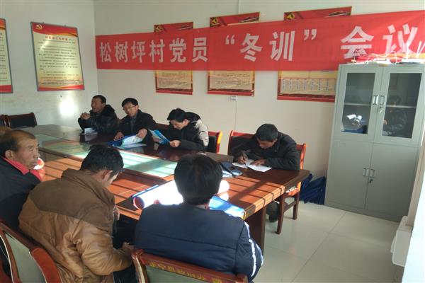 三嘉乡松树坪村党支部开展党员“冬训” 学习培训会