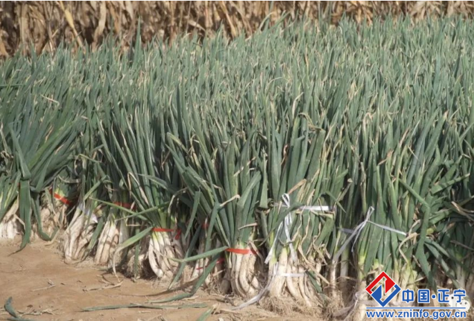 815917922fc64b3a9d47553a6cbc1cba.png 815917922fc64b3a9d47553a6cbc1cba.png