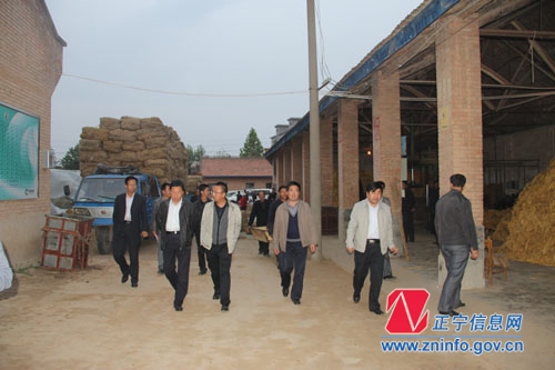 马光荣 曹育铮督查全县烤烟收购管理工作