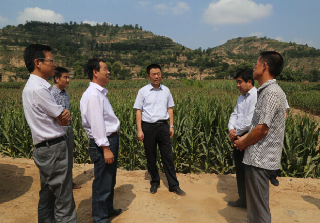 张龙杰督查全县水利设施建设情况