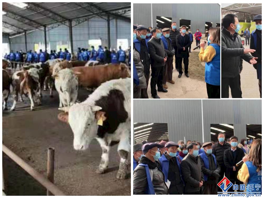 212f52f4911e45dda5fc03cd7ba1630f.jpg 212f52f4911e45dda5fc03cd7ba1630f.jpg