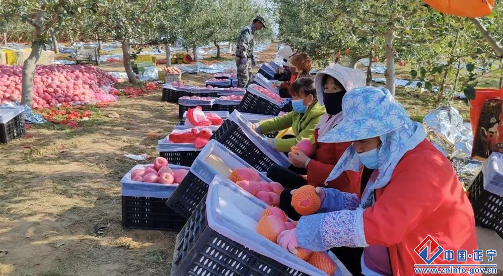 e7ca9f9b1c084631a56b2be52c2e35d2.jpg e7ca9f9b1c084631a56b2be52c2e35d2.jpg