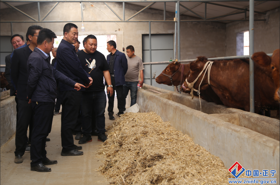 0a7f163055fc432db94251a6c84d217d.png 0a7f163055fc432db94251a6c84d217d.png