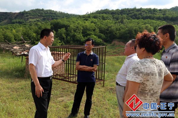 张龙杰督查防汛减灾工作