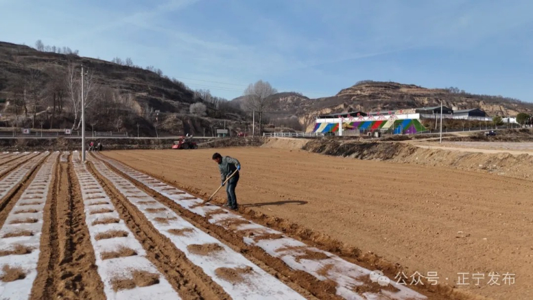 正宁:抢墒抢时春耕忙 顶凌覆膜掀热潮
