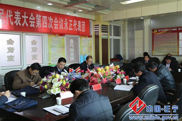 张龙杰参加永正代表团审议活动