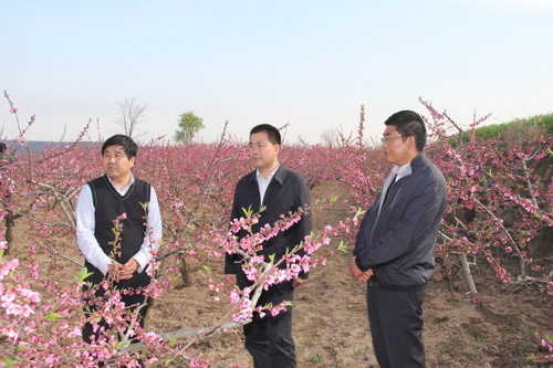 张龙杰督查各乡镇春季农业生产工作