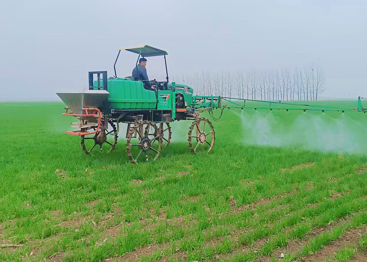 黄淮海麦区春管攻坚！12.5亿元资金加持，弱苗转壮有良方