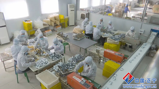 正宁县各企业火热开工全力推进复工复产