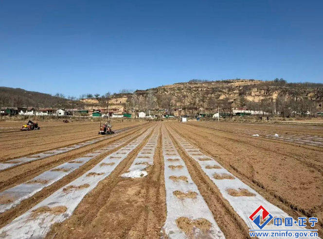 ad7661fdb72541d2b233414c03908052.png ad7661fdb72541d2b233414c03908052.png