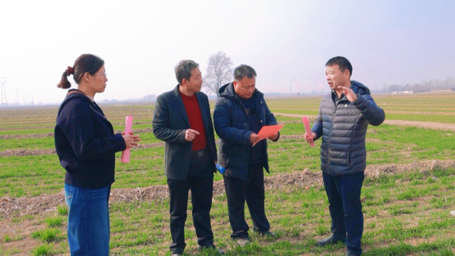 黄淮海麦区春管攻坚!12.5亿元资金加持,弱苗转壮有良方