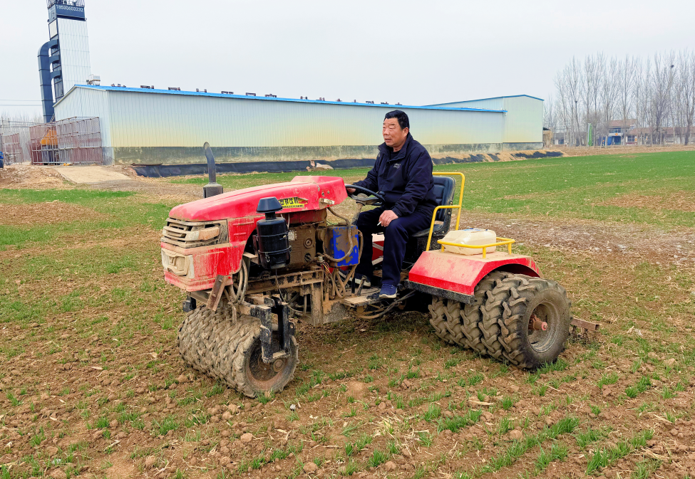黄淮海麦区春管攻坚!12.5亿元资金加持,弱苗转壮有良方