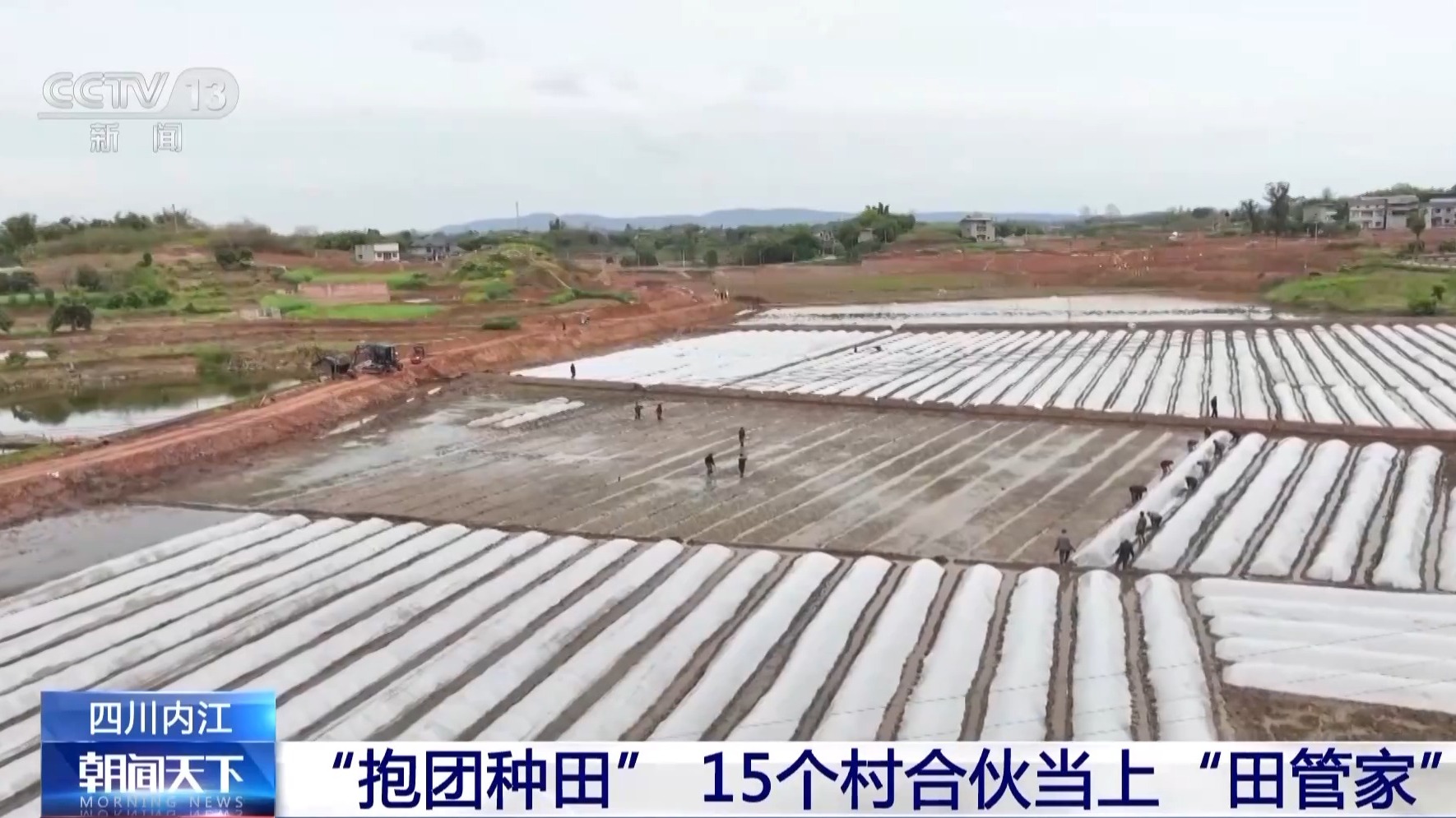 抢抓农时 各地按下春耕备耕“加速键”