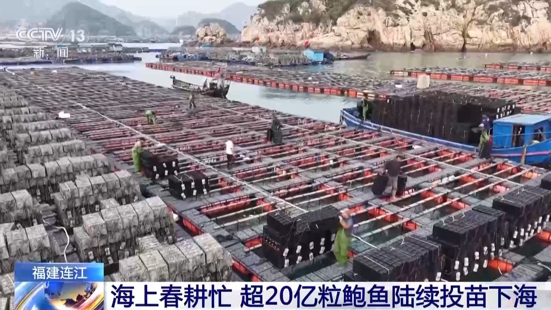 抢抓农时 各地按下春耕备耕“加速键”