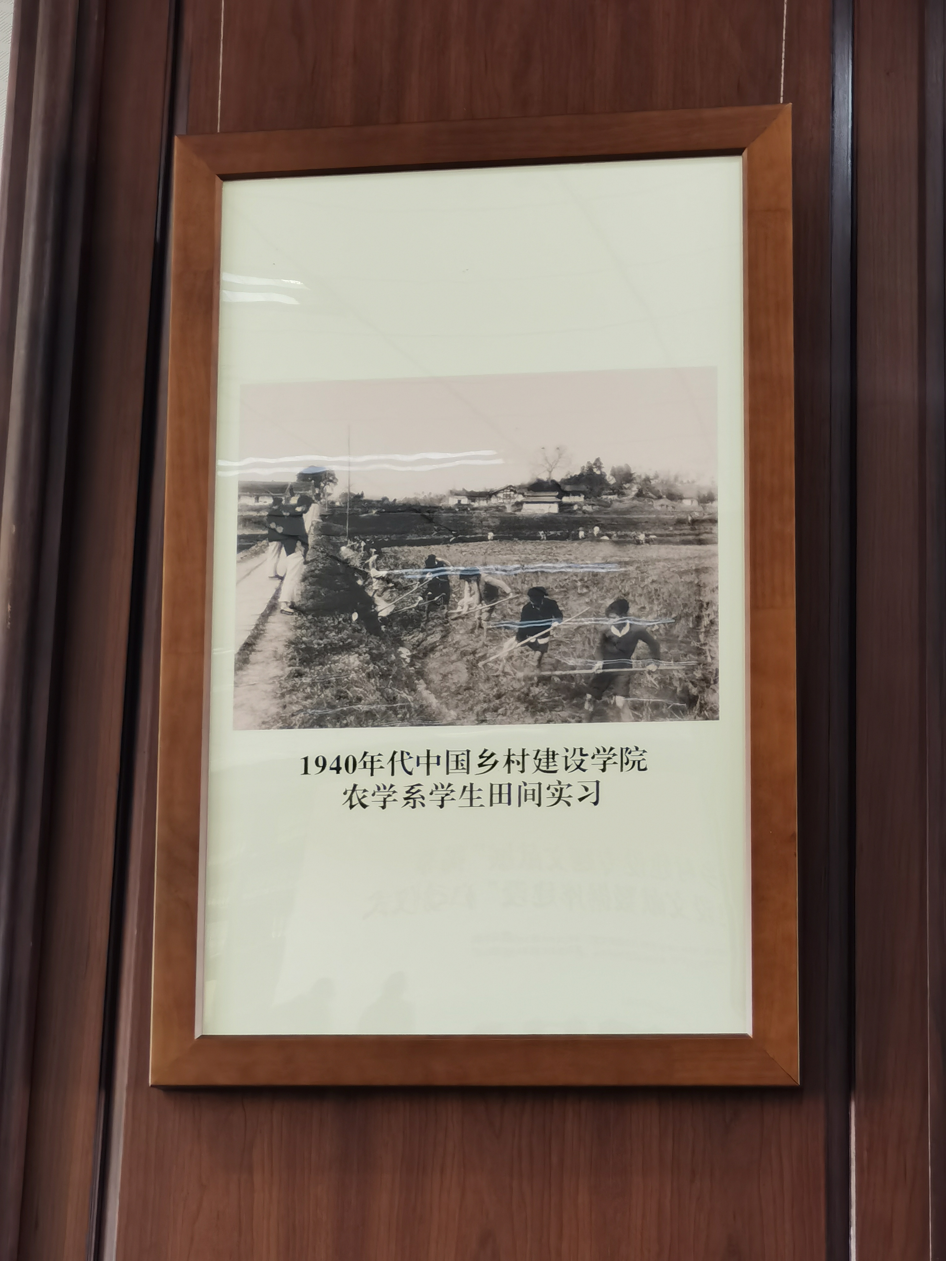 点燃！百年火种照亮乡村人才振兴新程