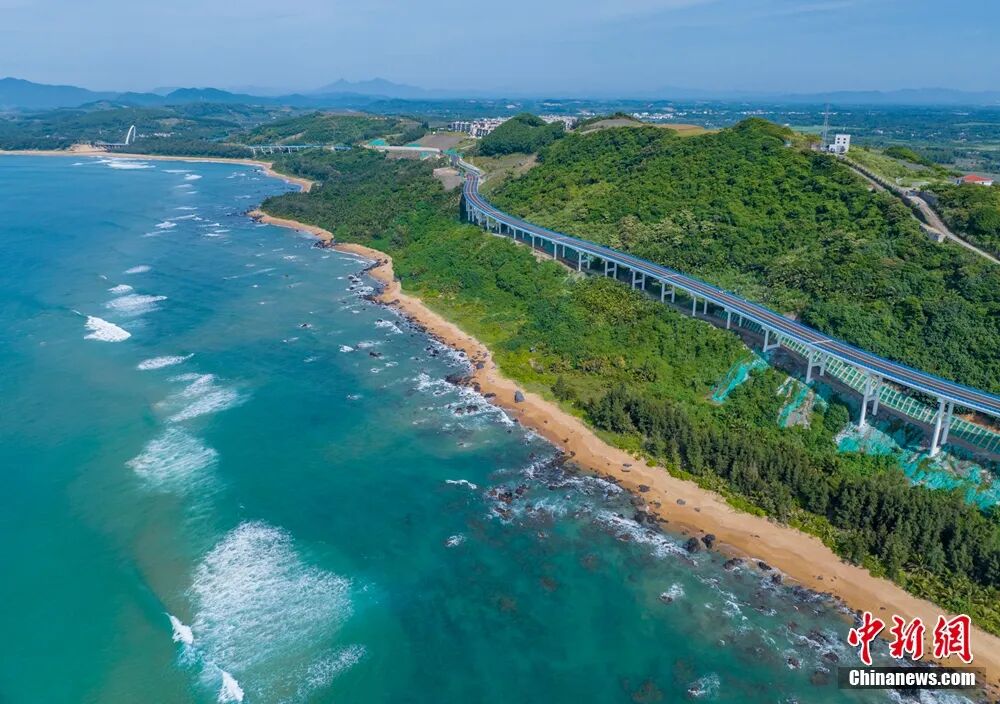 这块神奇的土地，咋还种出了“菠萝的海”？