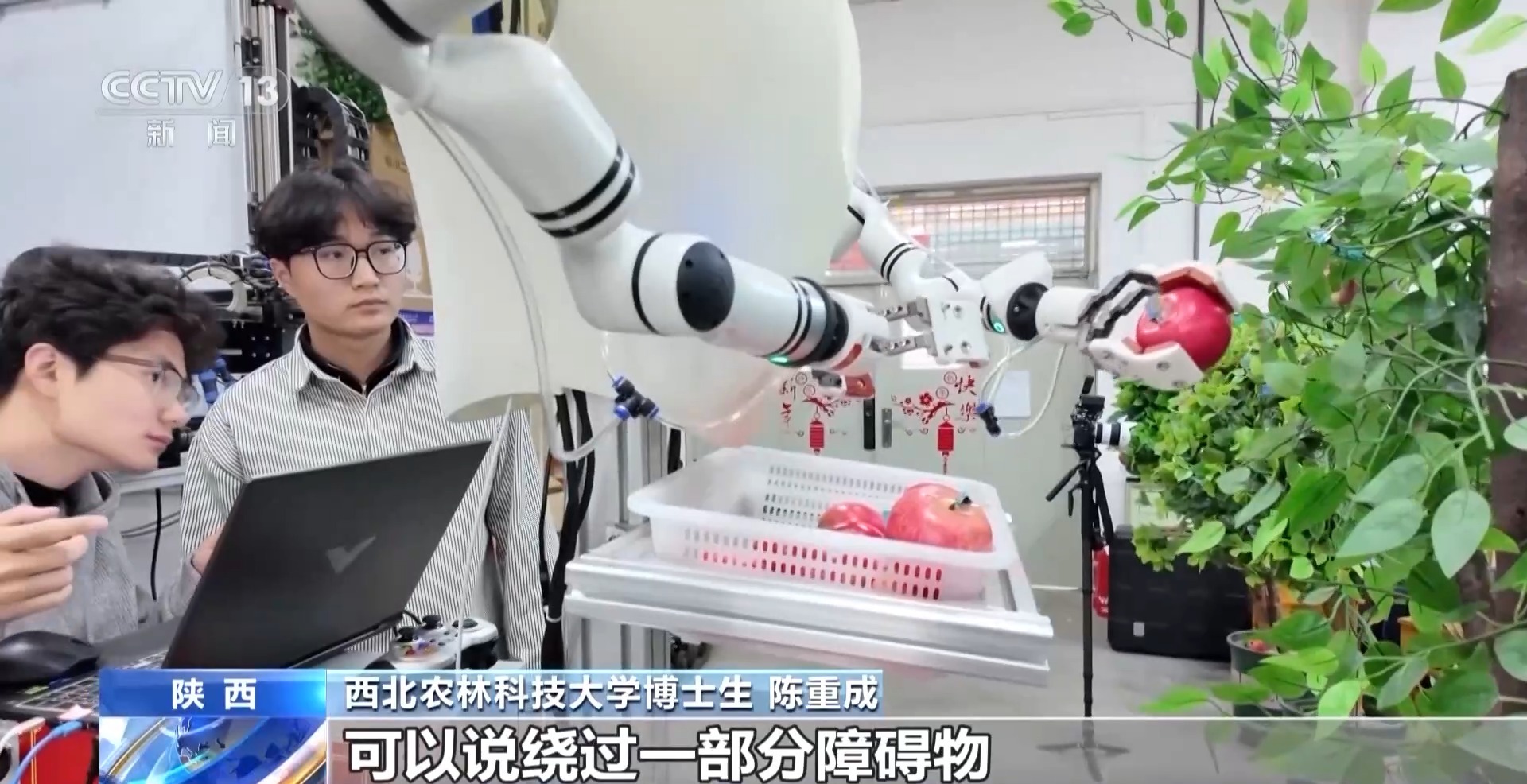 平均7.5秒摘一颗苹果 “双胞胎”机器人解锁采摘新技能