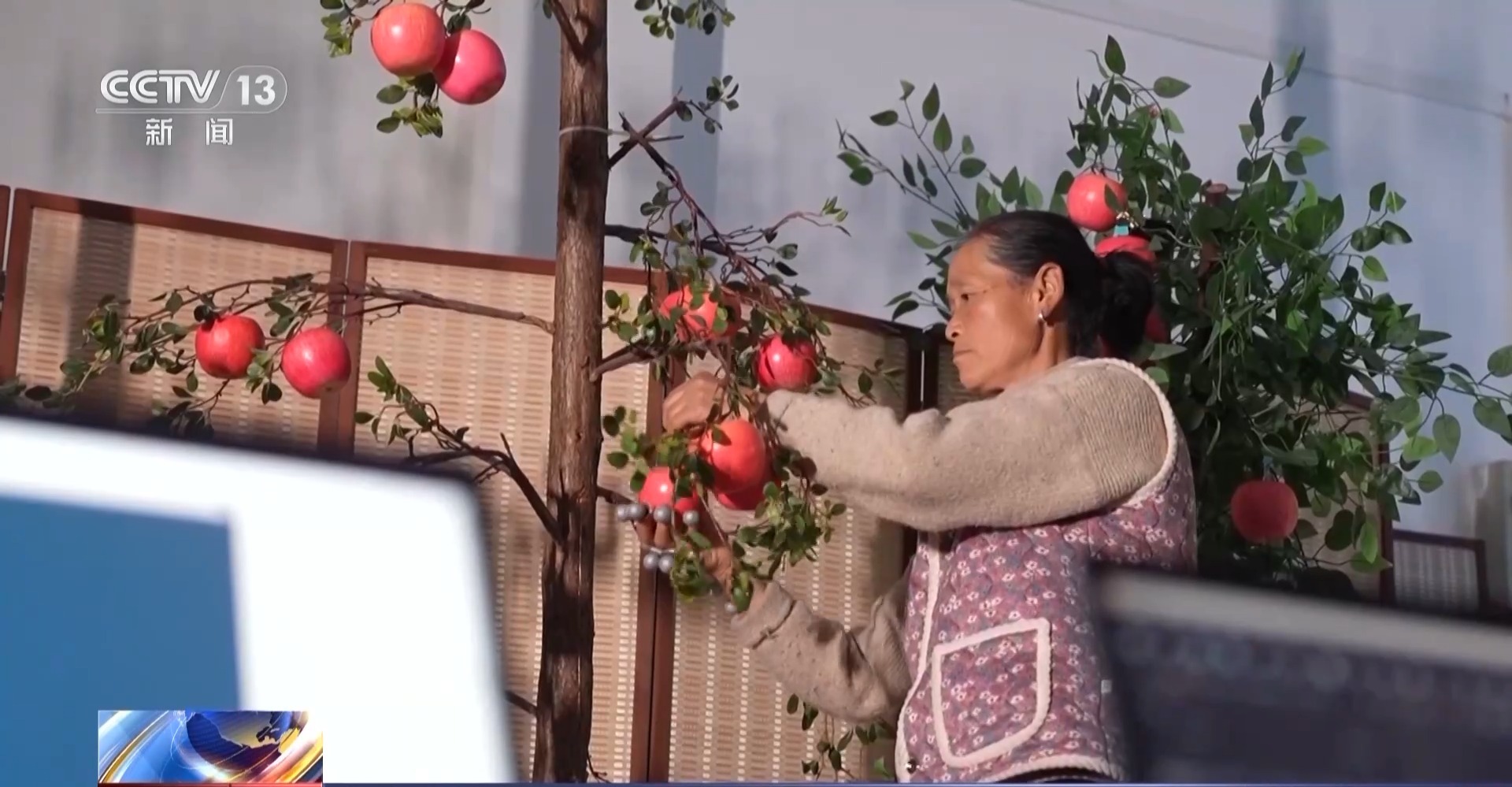 平均7.5秒摘一颗苹果 “双胞胎”机器人解锁采摘新技能