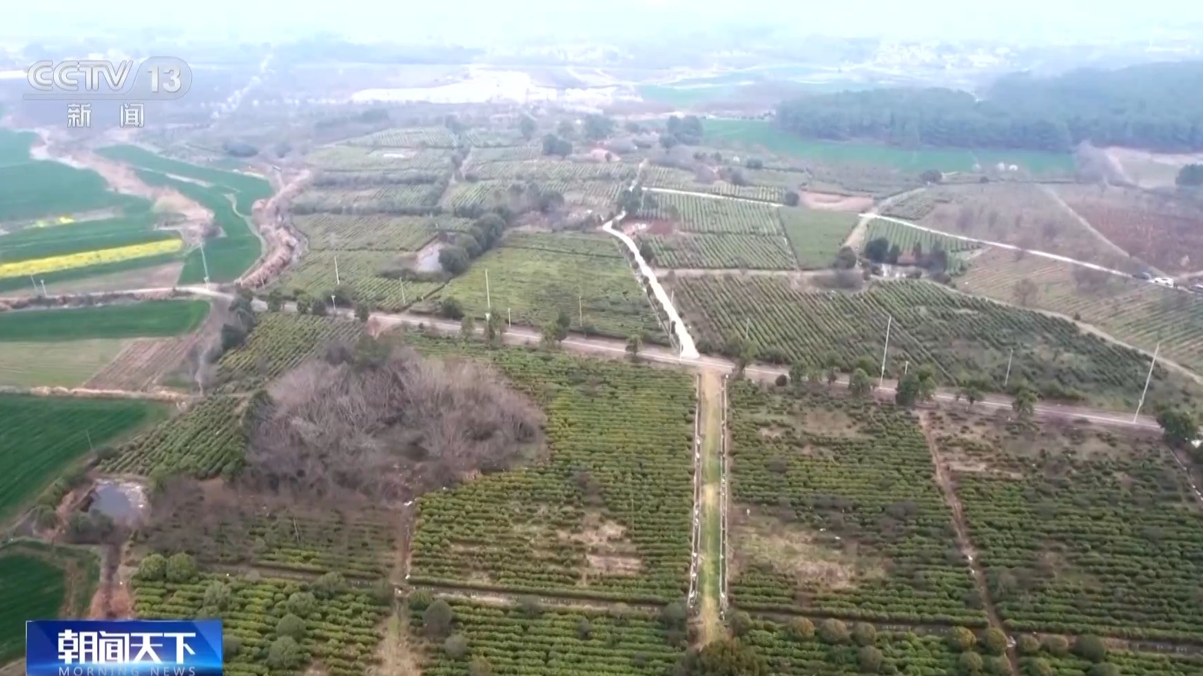 抢抓农时 各地按下春耕备耕“加速键”