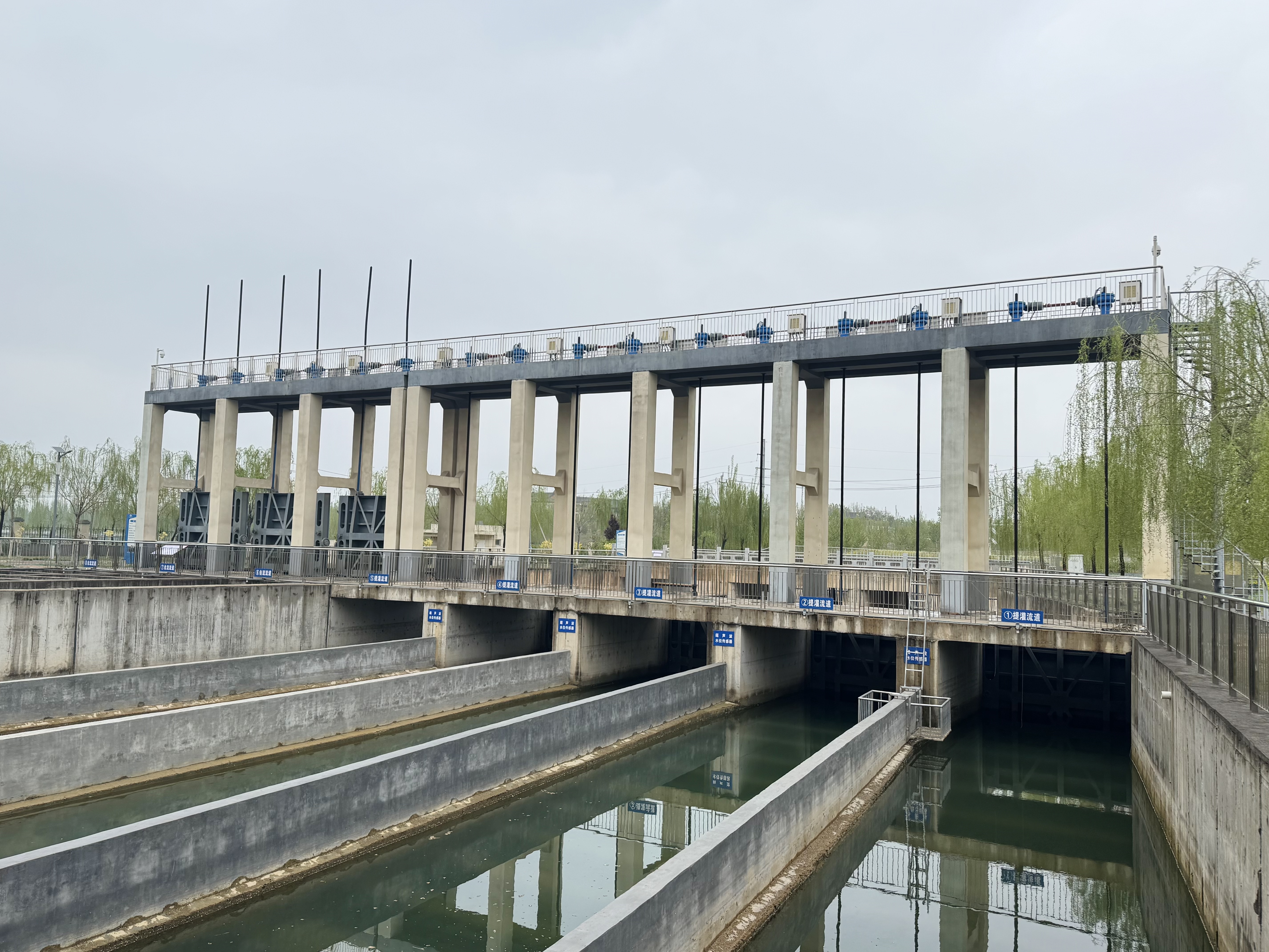 治黄八十载，润物细无声——引黄灌区春耕一线纪实