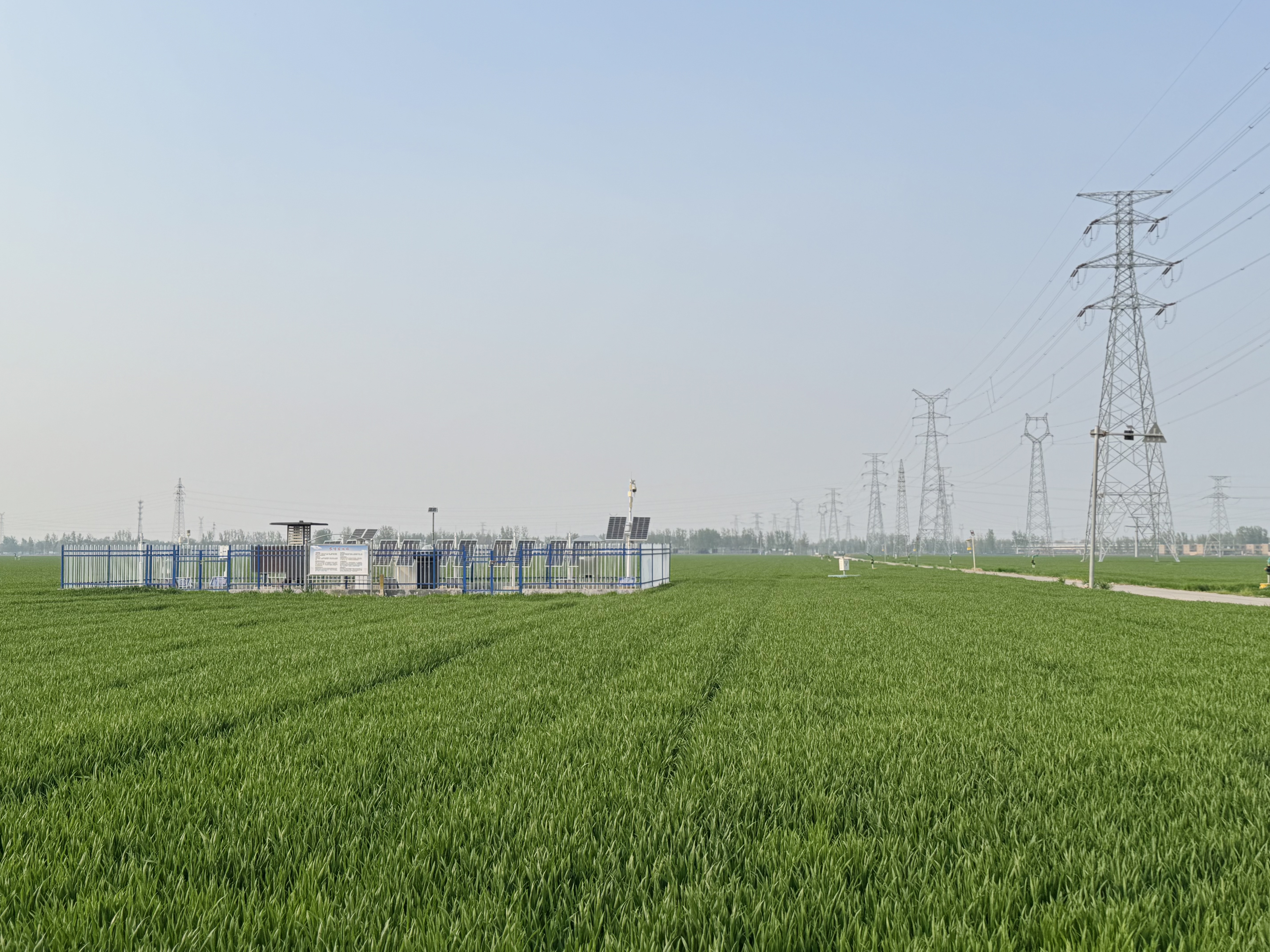 治黄八十载，润物细无声——引黄灌区春耕一线纪实