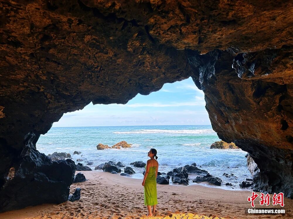这块神奇的土地，咋还种出了“菠萝的海”？