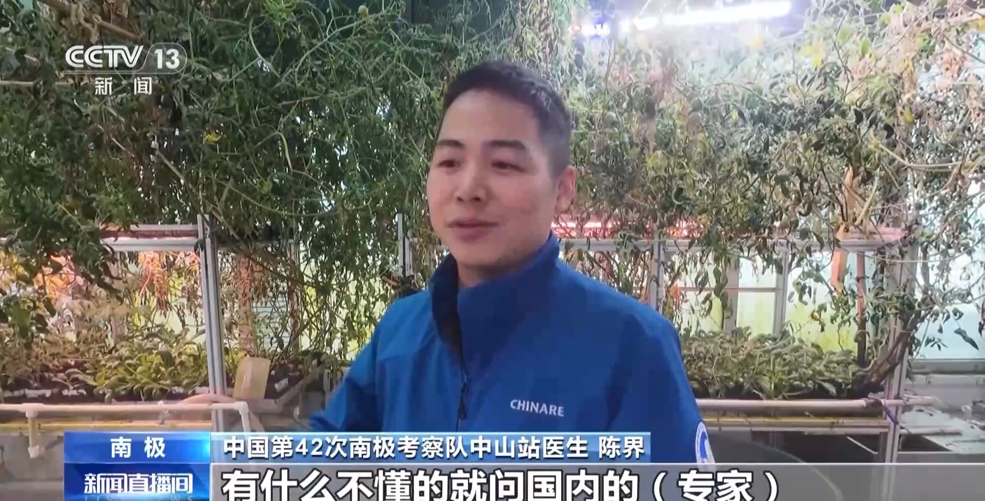 在南极种菜是什么体验？