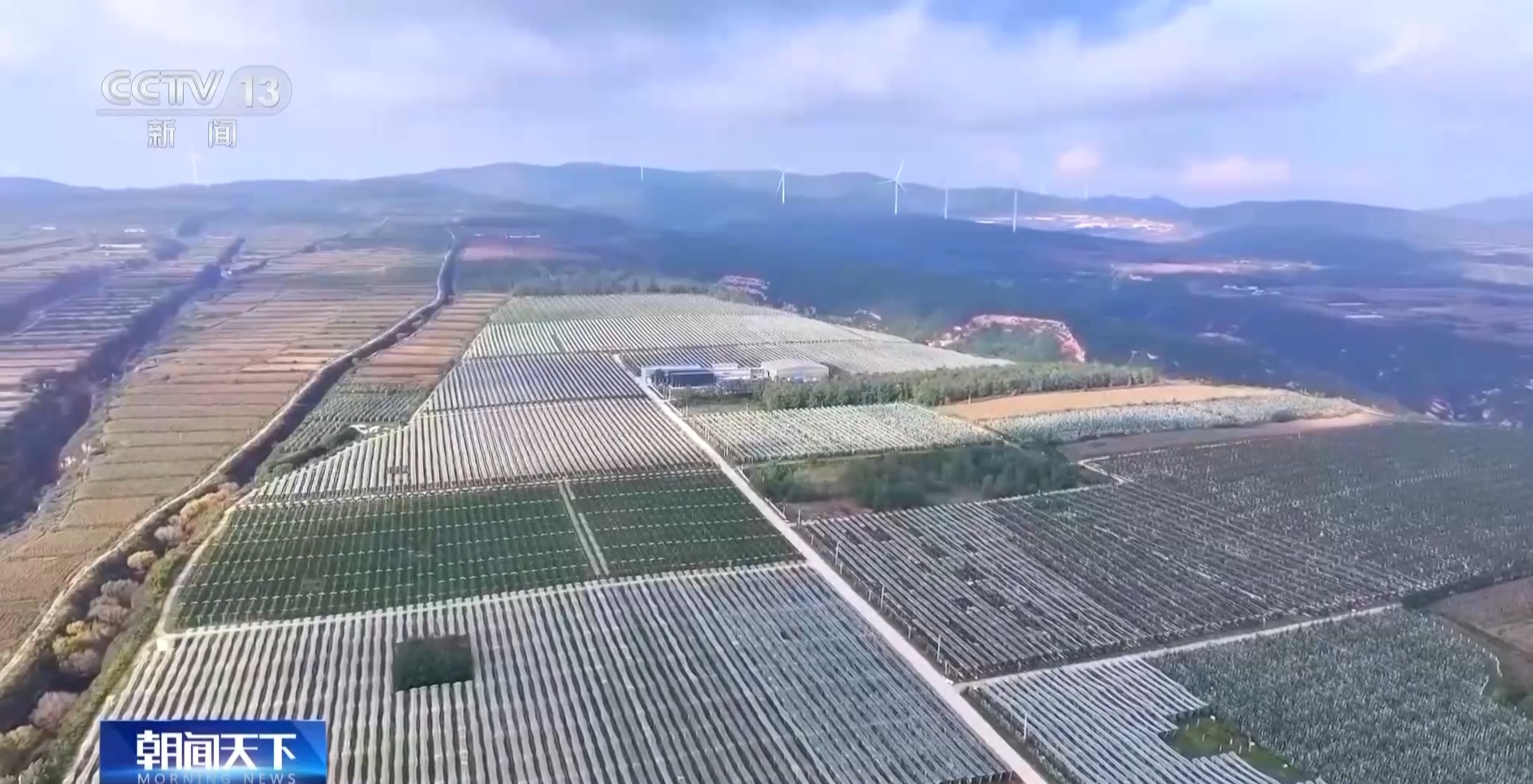 平均7.5秒摘一颗苹果 “双胞胎”机器人解锁采摘新技能