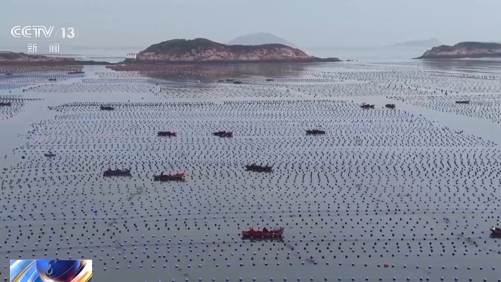 抢抓农时 各地按下春耕备耕“加速键”