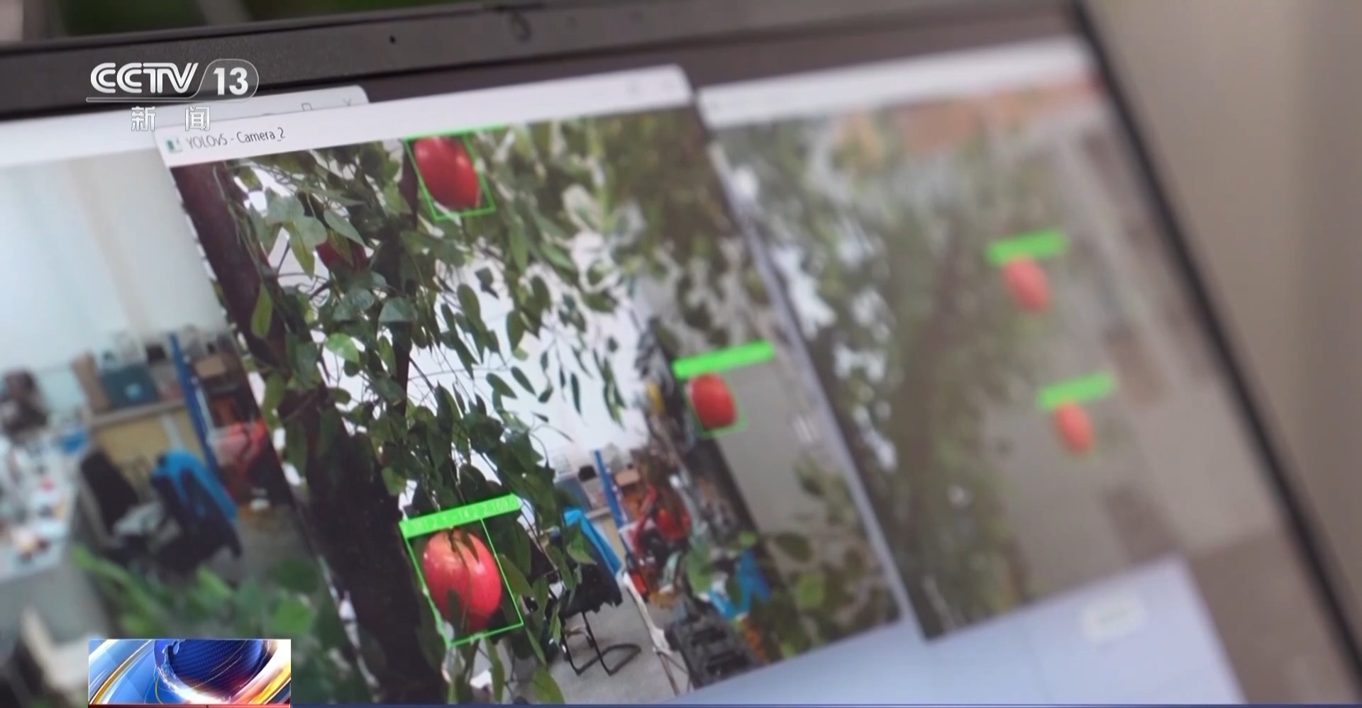 平均7.5秒摘一颗苹果 “双胞胎”机器人解锁采摘新技能