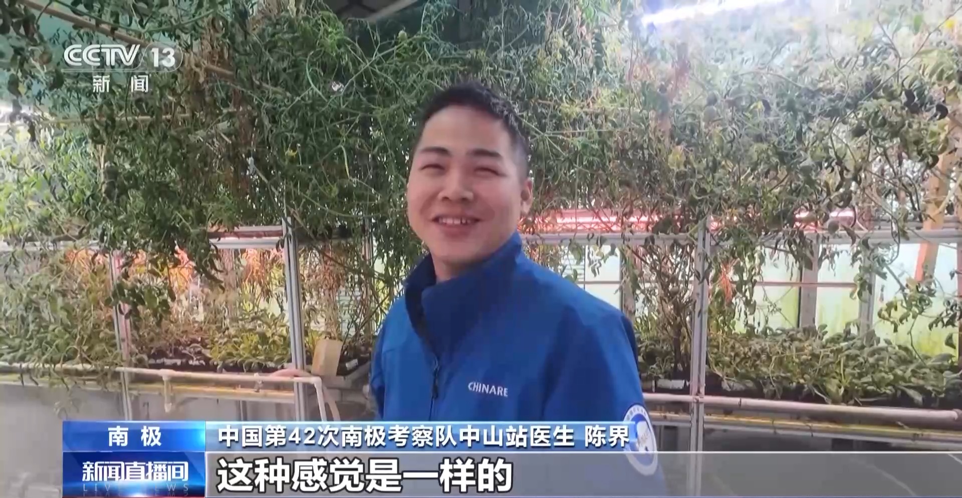 在南极种菜是什么体验？