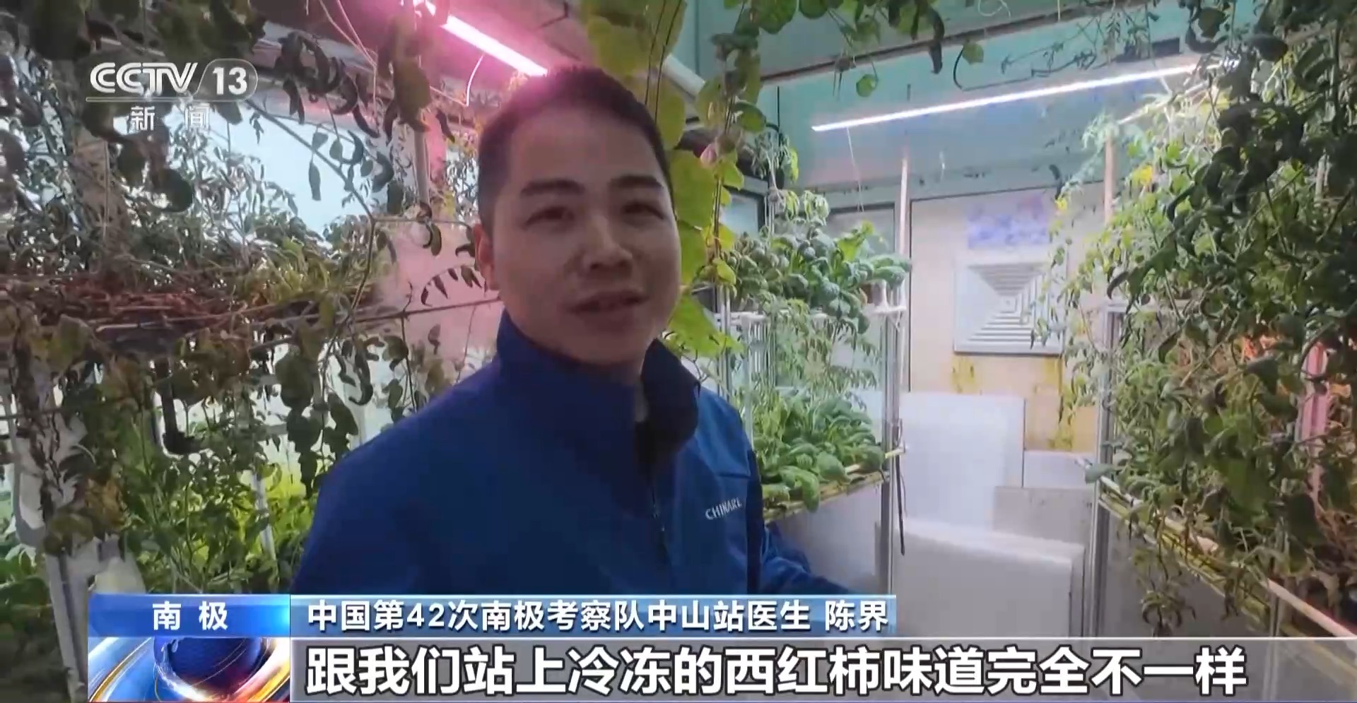 在南极种菜是什么体验？